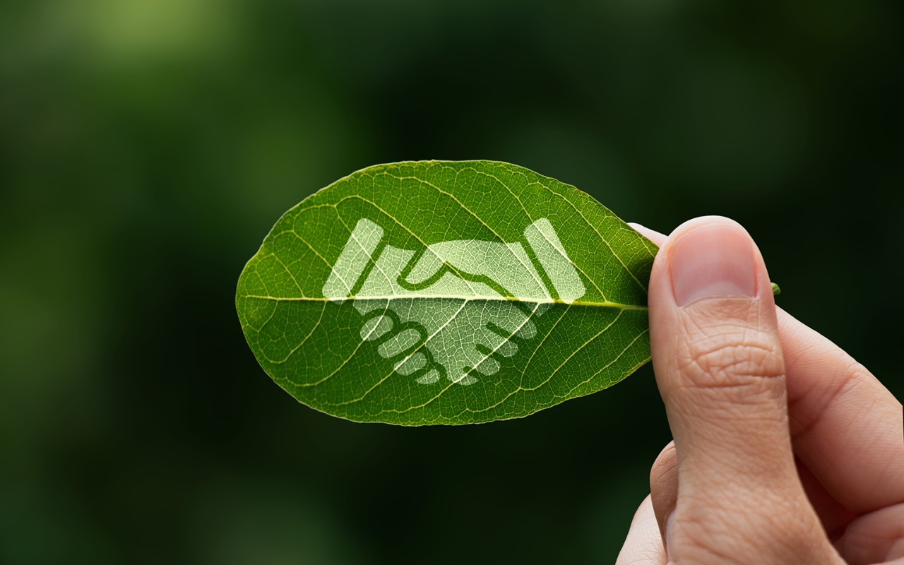 Finanzas sostenibles