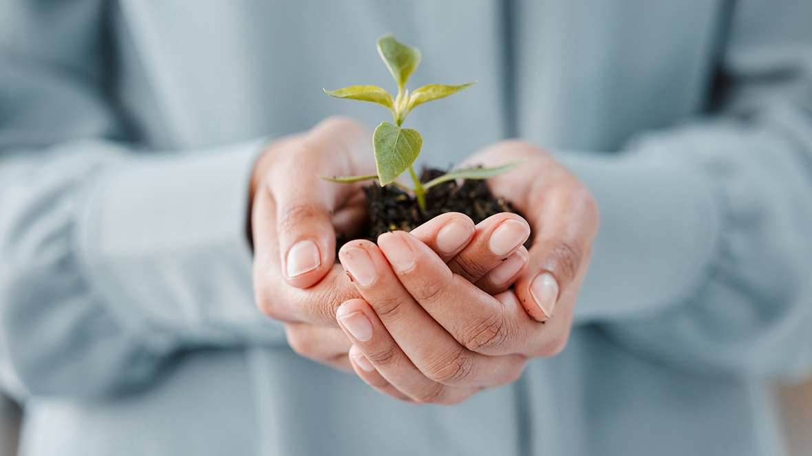 Objetivos desarrollo sostenible